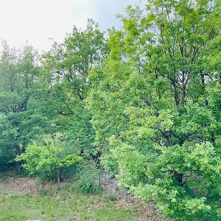 Ylang - Climatisee Villa