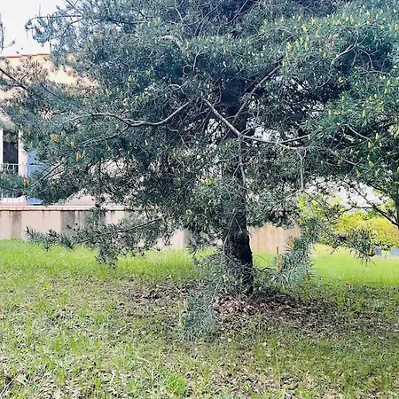 Ylang - Climatisee * Cruis